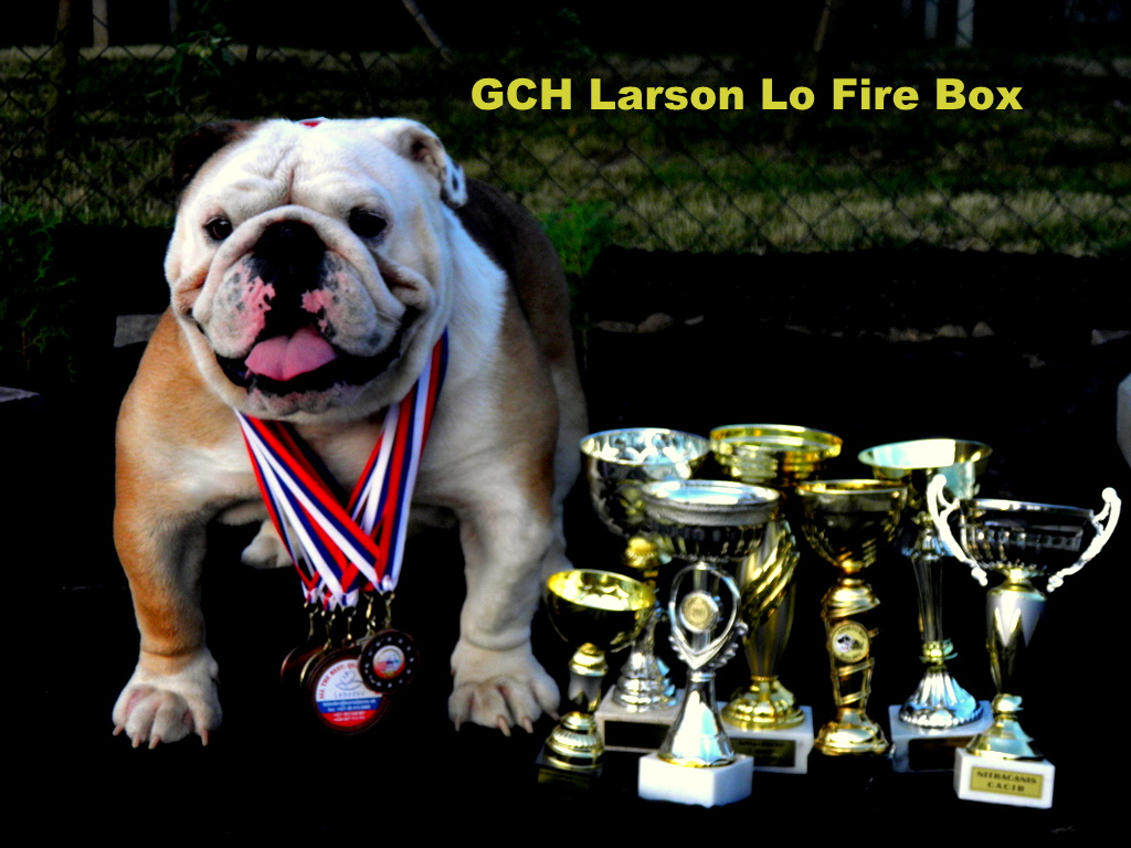 Larson Lo Fire Box